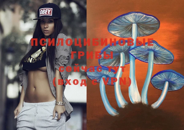 MESCALINE Аркадак