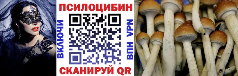 Псилоцибиновые грибы мицелий  даркнет формула  Меленки 